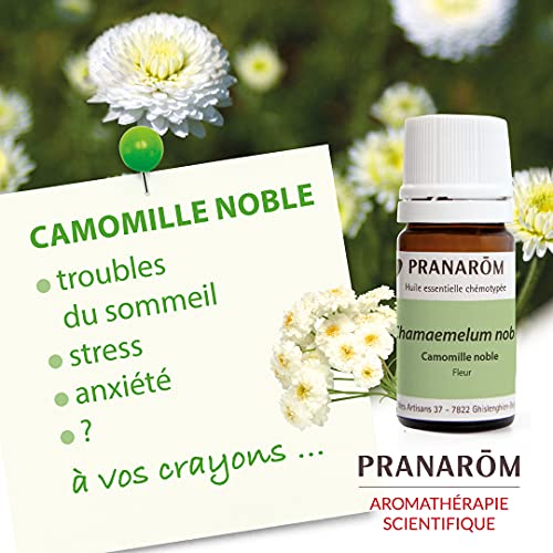 Pranarom - Aceite Esencial De Bio - Flor -, Chamaemelum Nobile, 5 ml, Manzanilla Romana, 5 Mililitro