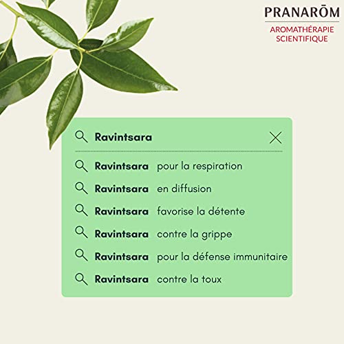 Pranarôm Aceite Esencial de Ravintsara 100% Puro y Natural, 100% Quimiotipado, Cinnamomum camphora qt cineol, Apoyo al sistema inmunitario, Purificador de ambiente, Equilibrio Emocional, 10 ml