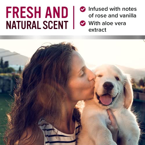 Pro Pooch. Perfume para perros, colonia en espray para perros con aroma a talco para bebé, corrector de olor para mascotas, hipoalergénico y vegano, desodorante fresco para tu perro, 250 ml