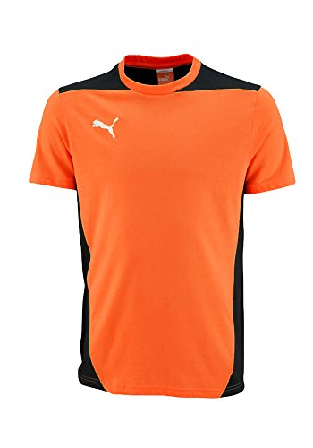 PUMA Foundation tee Team - Camiseta para Hombre, Color Naranja, Hombre, Foundation tee - Camiseta de Manga Corta, Color Naranja, Naranja, Large