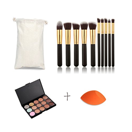 Pure Vie® 10 Pcs brochas de maquillaje + 1 Esponja Fundación Puff + 15 Colores Corrector Camuflaje Paleta de Maquillaje Cosmética Crema - Perfecto para Sso Profesional y Diario