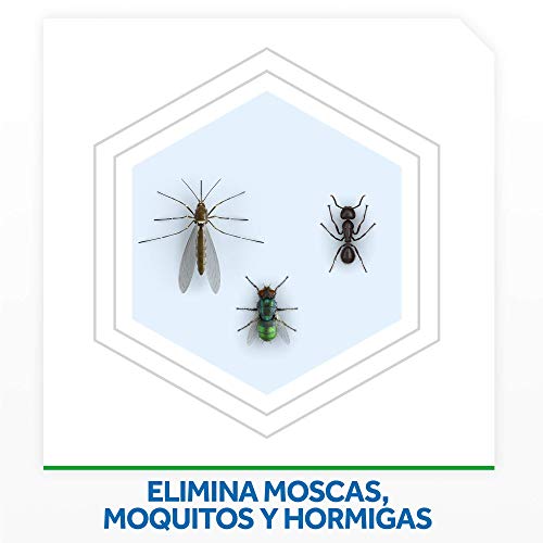 Raid Night & Day Eléctrico - 2 Recambios de insecticida automático contra moscas, mosquitos y hormigas, sin goteo, sin olor