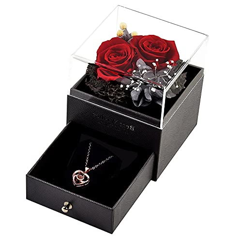 Roqueen Rosa Eterna, Rosa Preservada con Collar Hecha a mano Rosa Siempre, Regalos para Novia Esposa Madre para día de San Valentín Día de la Madre Boda Aniversario Cumpleaños Navidad (Dos Rosas)