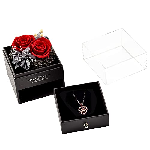 Roqueen Rosa Eterna, Rosa Preservada con Collar Hecha a mano Rosa Siempre, Regalos para Novia Esposa Madre para día de San Valentín Día de la Madre Boda Aniversario Cumpleaños Navidad (Dos Rosas)