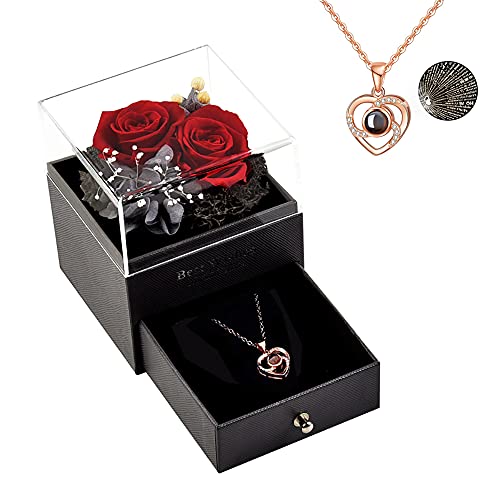 Roqueen Rosa Eterna, Rosa Preservada con Collar Hecha a mano Rosa Siempre, Regalos para Novia Esposa Madre para día de San Valentín Día de la Madre Boda Aniversario Cumpleaños Navidad (Dos Rosas)