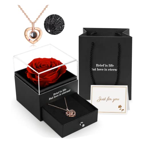 Rosa Real Preservada, Eterna Hecha a Mano Rosa con Collar, Regalos para Tu Novia Originales, Románticos Regalo para Mujer para Día de San Valentín Aniversario Día de la Madre Bodas Cumpleaños Navidad