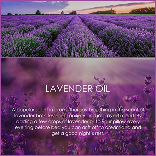 SALKING Aceite Esencial de Lavanda 120ml, 100% Puro y Natural Aceites Esenciales para Humidificador, Natural Aceites Esenciales Aceite Perfumado de Lavanda, Ayudando a dormir