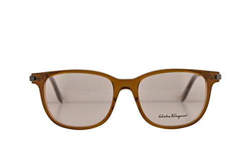 Salvatore Ferragamo SF2803 Gafas 54-17-145 Cristal Marrones Con Lentes De Muestra 210 SF 2803