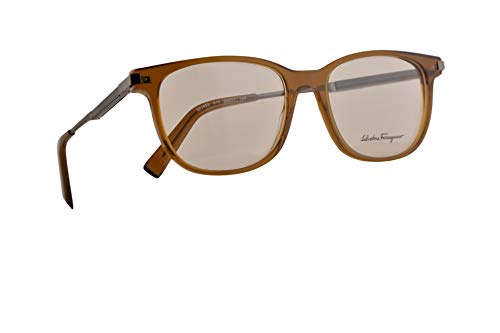 Salvatore Ferragamo SF2803 Gafas 54-17-145 Cristal Marrones Con Lentes De Muestra 210 SF 2803