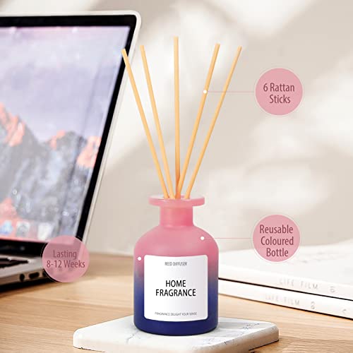 Scent-Hi Difusor de Aroma para habitación de 100 ml con 6 Varillas difusoras de caña - Aceite Esencial afrutado y Floral, difusor de Aire perfumado para Interiores