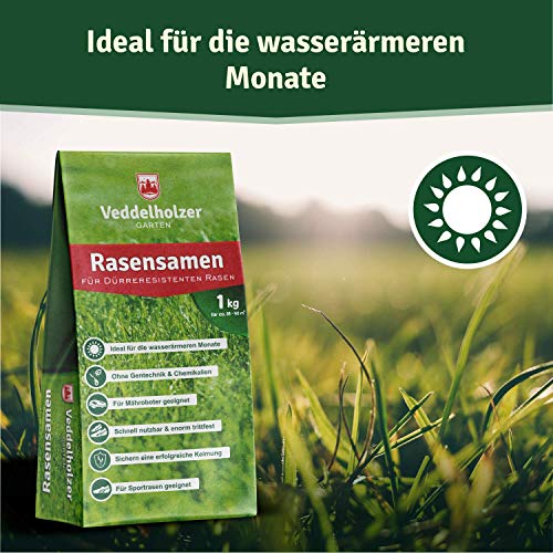 Semillas para césped Veddelholzer, resistentes a la sequía y para céspedes en secano y de sombra, semillas de césped de rápida germinación ideales como céspedes deportivos y de juego