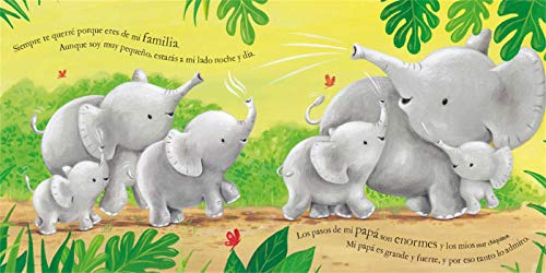 Siempre Te Querré (I Will Always Love You): Padded Board Book