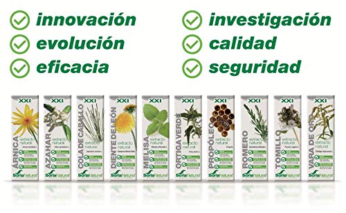 Soria Natural - EXTRACTO DE COLA DE CABALLO S. XXI - Extracto Natural - Fuerza uñas y cabello y disminuye retención de líquidos - 50 ml - Equisetum arvense (PACK1)