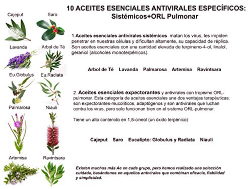 SPRAY ANTIVIRICO DESINFECTANTE 3LITROS PARA RELLENAR +SPRAY 250ML REGALO-10 Aceites Esenciales.Limpiador Hidroalcohólico 100% Eficaz. Piel, textil, Multisuperficie.