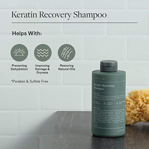 The Scalp Recovery Set for Men: Includes Includes Keratin Recovery Shampoo to Boost Hair Growth + Keratin Conditioner to Repair + Scalp Treatment to Improve Health of Hair - by Lumin