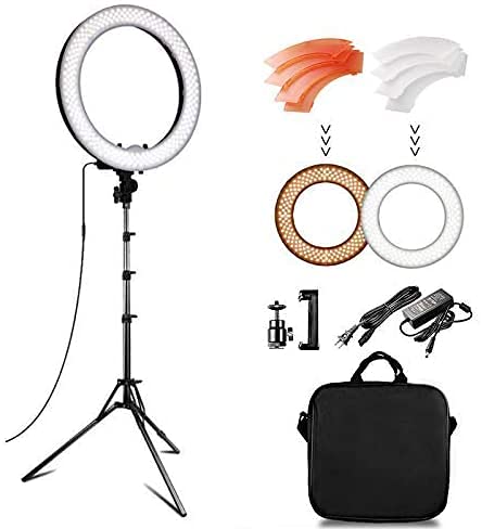 TIANYOU Kit de Luz de Anillo de Maquillaje de Sobremesa de 8 Pulgadas, Mini Anillo de Luz Led Regulable, Soporte de Escritorio, Clip de Teléfono para Blog de Belleza, Maquillaje,