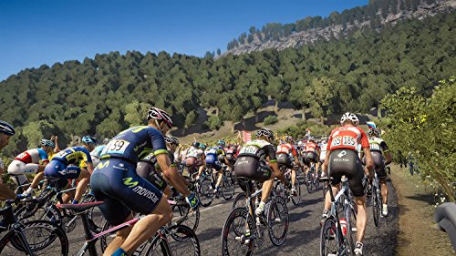 Tour de France 2017 - PlayStation 4 [Importación alemana]