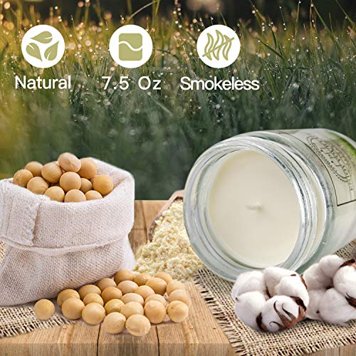 Velas Citronela de 4 Piezas Velas Perfumadas de 7.2 Onzas Cera de Soja Natural y Aceites Esenciales en Frasco Grande para Jardín Interior y Exterior dura Hasta 120 Horas Traje para Acampar y Picnic