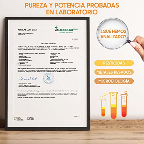 Vitamina C Liposomal 1000mg 180 Cápsulas Con Rosa Mosqueta - Suministro 3 Meses de Vitamina C Pura, Contribuye al Funcionamiento Normal del Sistema Inmunológico, Vegano