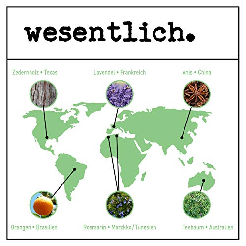 wesentlich. - Aceite de sándalo (Amyris Balsamifera). Aceite esencial. 100 % natural (botella de cristal). Entre otros usos, para lámpara aromática y difusor (50 ml)