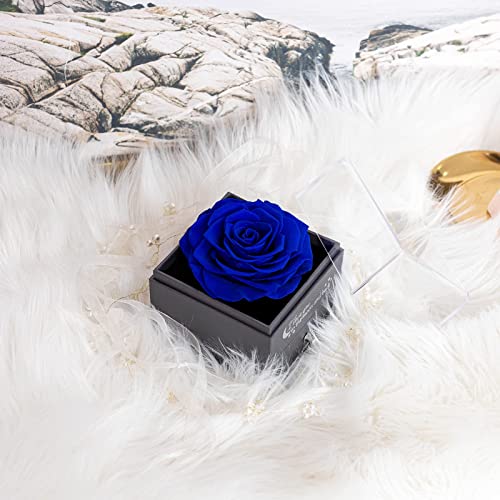 Yamonic Rosa Eterna Real con Collar y Pendientes en una Caja de Regalo, Regalos románticos para Ella en el día de San Valentín Aniversario Navidad Regalos para Mujeres, Azul