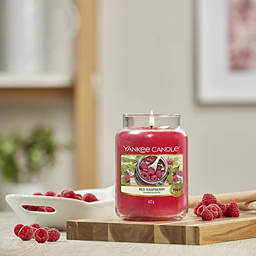 Yankee Candle Vela, Rojo, Grande, 623