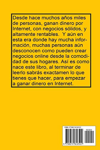 10 Negocios Online: 10 Negocios rentables que puedes hacer desde casa