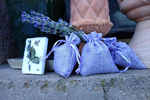 10 saquitos de lavanda con 100 g de flores de lavanda frescas secas de la Provenza francesa, fragancia de lavanda, saquitos aromáticos para dormir, bolsas de lavanda, embalados a mano en Alemania.