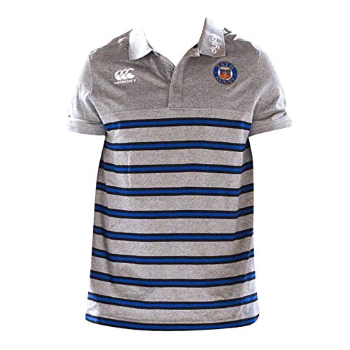 2018-2019 Bath Rugby Cotton Jersey Stripe Polo Shirt (Static Marl)