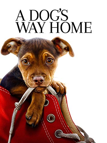 A Dog's Way Home