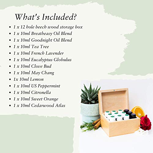 Absolute Aromas Aceites Esenciales de Madera 12 Agujeros Caja de Almacenamiento - Incluye un Paquete de 12 Aceites Esenciales de 10 ml y Mezclas de Aromaterapia