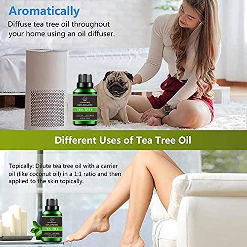 Aceite esencial de árbol de té orgánico, aceites aromáticos de aromaterapia orgánica 100% aceite esencial terapéutico puro de grado superior (100 ml)