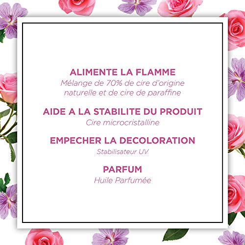 Air Wick Botanica Bougie Parfumée Cire d'Origine Naturelle Géranium & Rose 205g