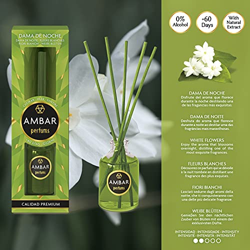 Ambar Perfums Ambientador Mikado Dama de Noche, 50 ml