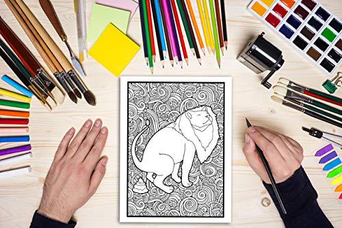 Animales cagones: Un divertido libro de colorear para adultos: Un original libro antiestrés, gracioso y relajante para amantes de los animales