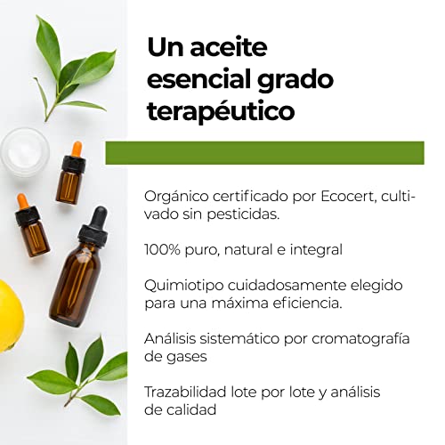 Aroma Labs - Aceite Esencial de Canela - Certificado Orgánico Ecocert - 100% Puro, Natural, Integral - Quimiotipo y Composición Bioquímica Garantizados - Eco-Embalaje en Francia - 10ml