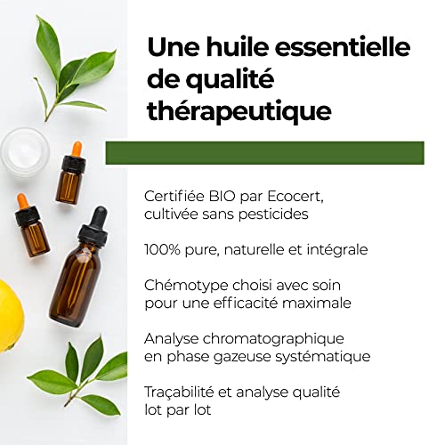 Aroma Labs - Aceite Esencial de Eucalipto Radiado - Certificado Orgánico Ecocert - 100% Puro, Natural, Integral - Quimiotipo y Composición Bioquímica Garantizados - Eco-Embalaje en Francia - 30ml