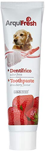 Arquivet Dentrífico para Perros - Sabor a Fresa - Pasta de Dientes para Perros - Higiene Dental para Perros - Previene la Placa y sarro - Crema Dental para Perros - 100 g