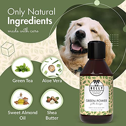 BELLY Champu para Perros con Aloe Vera - Champu Perros Piel Sensible e Irritada - Champú Perros Pelo Blanco y Oscuro - Champu Perros Dermatitis, Hidrata y Suaviza - Champu Hipoalergenico Perros, 250ml