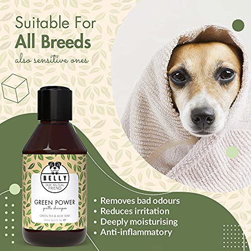 BELLY Champu para Perros con Aloe Vera - Champu Perros Piel Sensible e Irritada - Champú Perros Pelo Blanco y Oscuro - Champu Perros Dermatitis, Hidrata y Suaviza - Champu Hipoalergenico Perros, 250ml