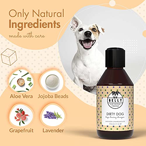 Belly Champu Perros, Fragancia Lavanda y Pomelo - Champu para Perros, Limpia e Hidrata - Champu Perros Dermatitis con Aloe Vera - Champu Perros Pelo Blanco - Champu Perros Cachorros y Adultos, 250ml