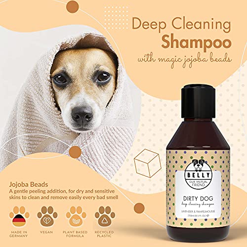 Belly Champu Perros, Fragancia Lavanda y Pomelo - Champu para Perros, Limpia e Hidrata - Champu Perros Dermatitis con Aloe Vera - Champu Perros Pelo Blanco - Champu Perros Cachorros y Adultos, 250ml