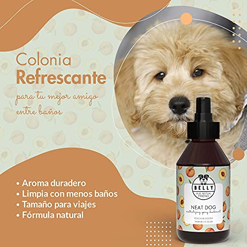 Belly Colonia para Perros, Aroma Melocotón - Spray Colonia Perros Cachorros y Adultos - Perfume Perro Fresco e Hidratante - Spray Desodorante Perro, Efecto Duradero - Colonia Mascotas Vegana, 250 ml