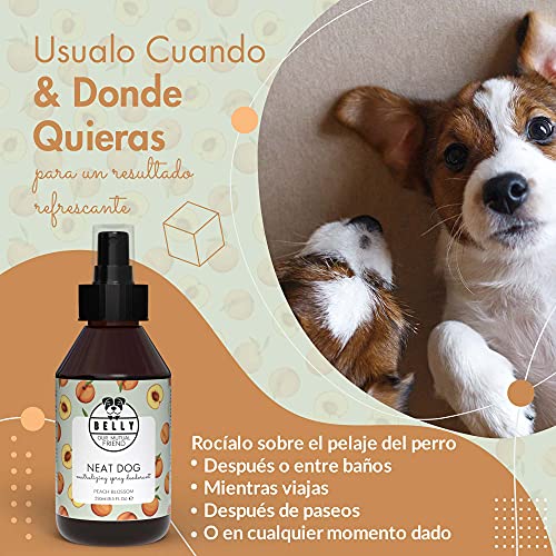 Belly Colonia para Perros, Aroma Melocotón - Spray Colonia Perros Cachorros y Adultos - Perfume Perro Fresco e Hidratante - Spray Desodorante Perro, Efecto Duradero - Colonia Mascotas Vegana, 250 ml