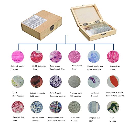 BJH Kits de Ciencia de microscopio para Principiantes para niños Modelo de Ciencia educativa con LED + 20 Tipos de rebanadas Caja de experimentos biológicos 40 Piezas