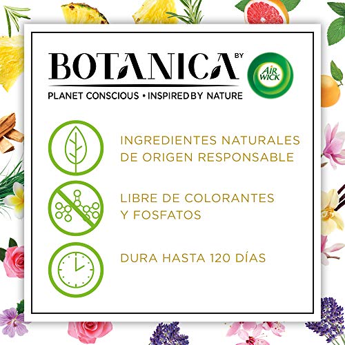 Botanica de Air Wick - Recambios De Ambientador Eléctrico, Esencia Para Casa Con Aroma A Rosa y Geranio Africano