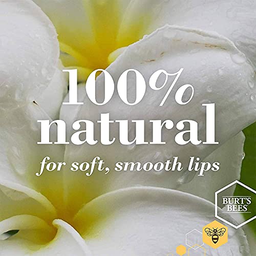 Burt's Bees Bálsamo labial hidratante de origen 100 % natural, pack dos por uno de miel con cera de abejas, 2 tubos en caja de blíster