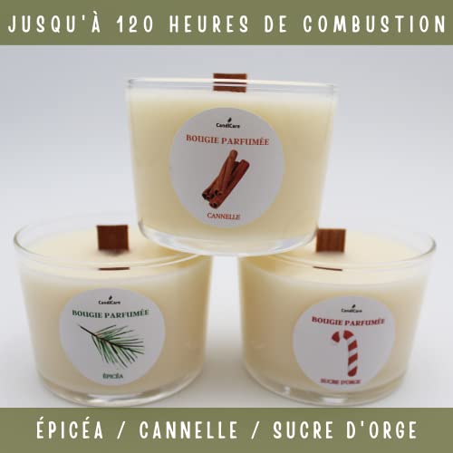 CandlCare - Kit de fabricación de velas perfumadas, 3 x 145 g de cera de Soja 100 % natural sin OMG, 3 vasos de vela de 3 perfumes, 6 mechas de madera + algodón receta y más