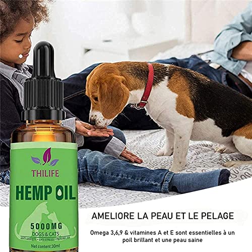 Cbd,Aceite de cáñamo orgánico perro y gato 5000 mg, 30 Ml con Omega 3/6/9 para mascotas. | Antiestrés, reduce la ansiedad y mejora el sueño. Prensado en frío