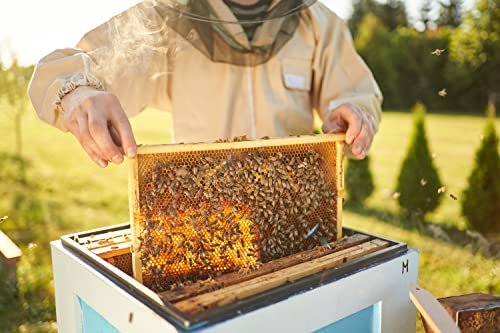 Cera depilatoria de fácil fusión Rosa 500g SELAS. Depilación sin bandas, con cera de Abejas y aceite de Rosa Mosqueta, para todas las zonas y tipos de pieles, especialmente las sensibles.